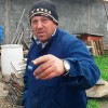 Poza Barbat Sannicolaul Mare